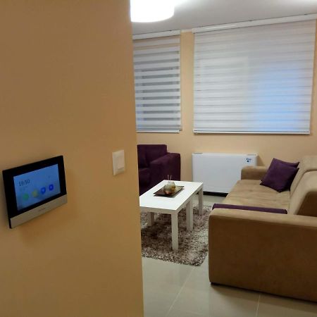 Apartment Cherry Gold Nagybecskerek Kültér fotó